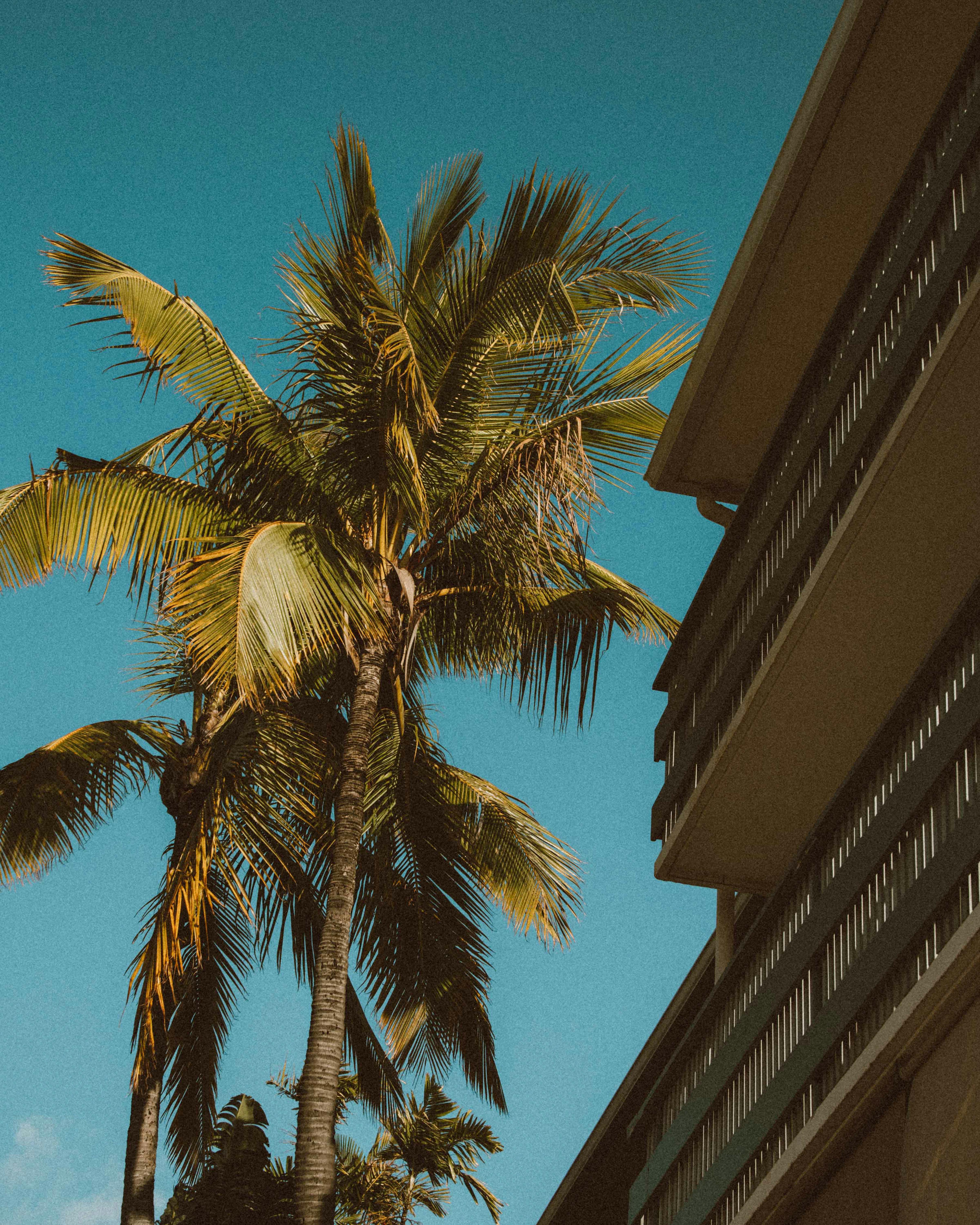 A residential condominium building set against the green Koolau mountains on Oahu